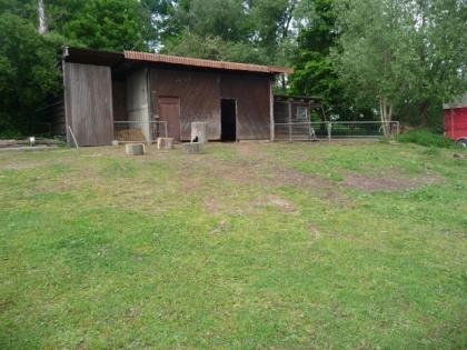 Offenstall mit 8 Ha Wiese und einer großen Scheune in Lagesbüttel
