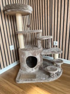 Verschmuster Kater sucht ruhiges Zuhause