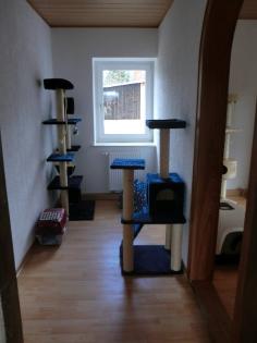 Katzenpension Meissen