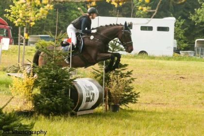 Reitbeteiligung- Pferd e sucht Reiter