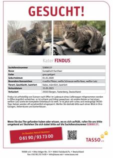 KATER FINDUS BELOHNUNG ERHÖHT 500 Euro GESUCHT WALDHOF