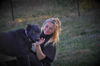 Blacky sucht ein zuhause