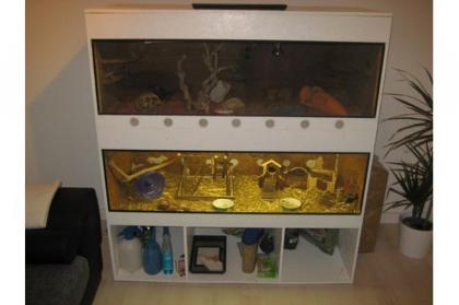 Terrarium incl Farb Mäuse, Leopardgeckos u. Zubehör