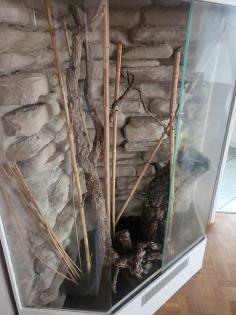 Eckterrarium mit Zubehör