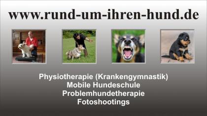 Hundephysiotherapie, mobile Hundeschule, Problemhundetherapie, Fotoshootings