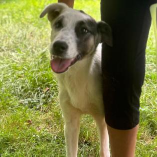 Zola / Status sucht ein Zuhause