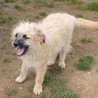 Fido / Status reserviert
