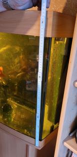 Aquarium mit Goldfischen