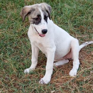 Bounty / Status sucht ein Zuhause