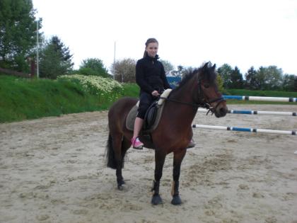SUCHE EINE REITBETEILIGUNG