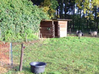 Unterstellplatz 75Euro/mon. in Bassen