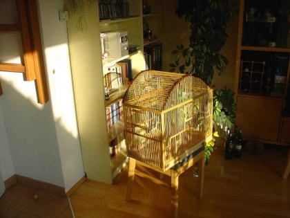 Seltener Vogelkäfig aus Holz