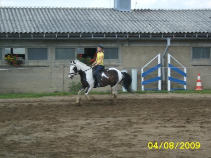 SUCHE REITBETEILIGUNG IN BOBRITZSCH UND UMGEBUNG
