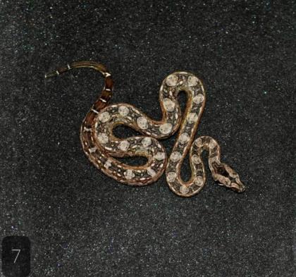 Bci Tarahumara/Mexico Zwergboa 05/21