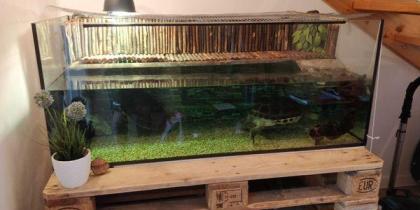 2 Wasserschildkröten Aqua-Terrarium mit Technik und Unterschrank
