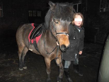 Zuverlässiges Pony sucht neuen Wirkungskreis