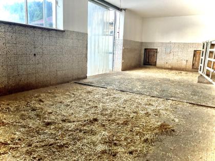 Pferdeeinstellplatz Offenstall Ebenau 10min von Salzburg 200Euro