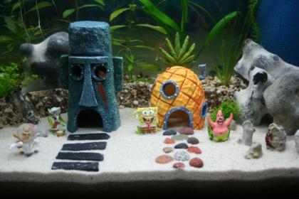 Suche Spongebob Zubehör und mehr