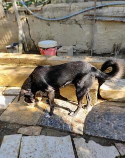 Nana sucht ein passendes Zuhause
