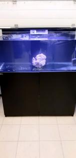 Verkaufe mehrere Meerwasser Aquarien Aquarium inkl Technik
