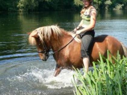 Biete RB auf Sportisländer Delmenhorst