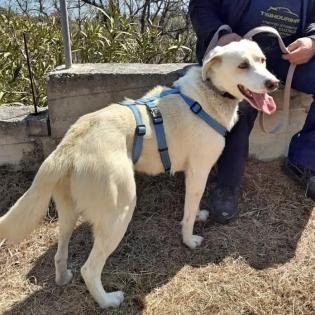 Max Rüde 1, 5 Jahre alt