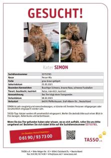 Wir vermissen unsere Katze