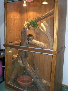 Großes Terrarium aus Holz abzugeben