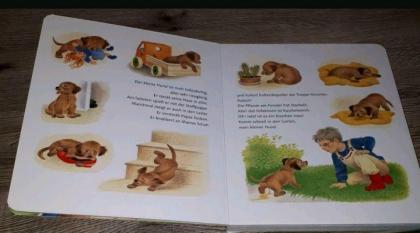 3 verschiedene Tierbücher