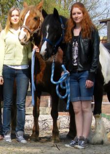 2 Reitbeteiligungen in Iserlohn gesucht