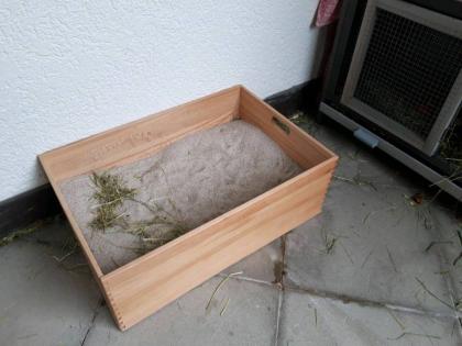 Kaninchen Meerschweinchen Tierbetreuung