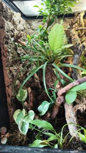 Terrarium Exoterra mit Unterschrank