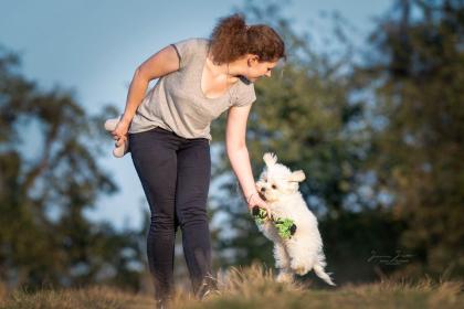Hundephysiotherapie Hundeosteopathie / Tierphysiotherapie