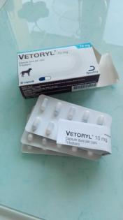 Vetoryl 10 mg