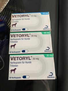 Vetoryl für Hunde