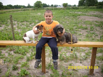 Hundeschule Mensch Hund im Einklang