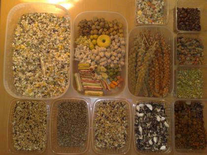 100 Gesunde Futtermäuse keine Pellets u. Makrolonbox Haltung Sonderpreis