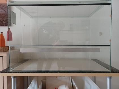 Glasterrarium kaum benutzt