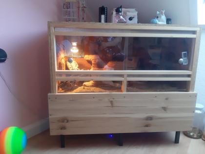 Komplettes Terrarium mit Leopardgecko