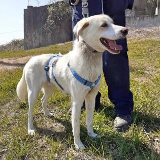 Max Rüde 1, 5 Jahre alt