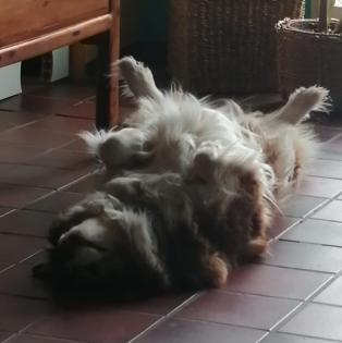 Thalia / Status vorgemerkt