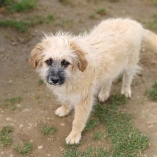 Fido / Status reserviert