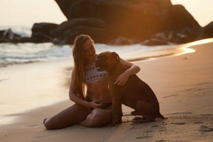 Online Hundetrainer schon über 10, 000 glückliche Halter und Hunde