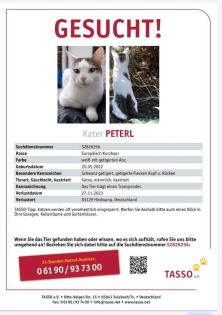 Katze / Kater gesucht vermisst entlaufen