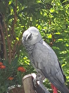 Suche einen Partner für Jaco
