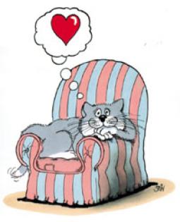 Birmakatze