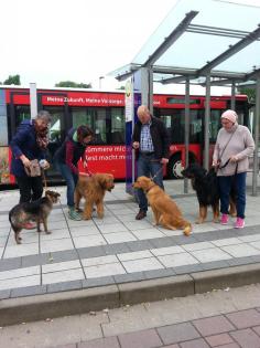 Hundeschule Axstedt -Trainingszentrum für Hund Halter in Niedersachsen