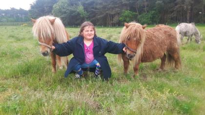 Aus Hobby Zucht mehrere Geritten und gefahrene Shettys und Ponys zu Verkaufen