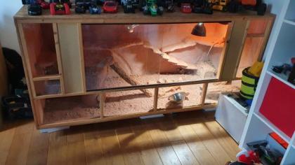 Terrarium mit bartagame XXL
