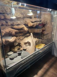 Leopardengecko Terrarium